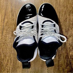 Nike Lebrons Akron 330